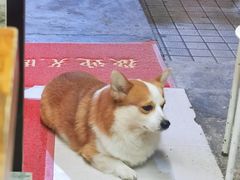 -小梁哥云吞面(黄贝岭店)