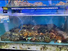 -渔民船说·北塘海鲜·天津菜·海肠捞饭(北塘古镇店)