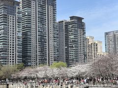 -西北湖绿化广场