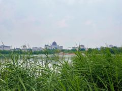 -莲花池公园