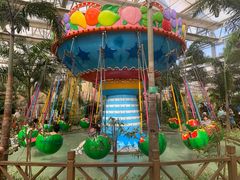 -南宫五洲植物乐园