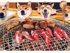 -万兴佳烤肉·长白山老味道(宏泰广场店)