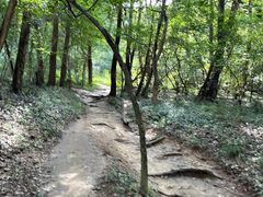 -紫金山山顶公园