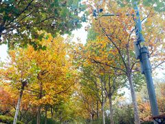 -滨河世纪广场公园