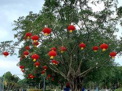 -万绿园