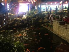 -顺德了能馆(虎门店)