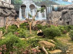 -石排湾郊野公园