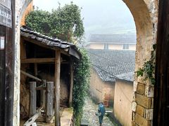 -杨家堂村