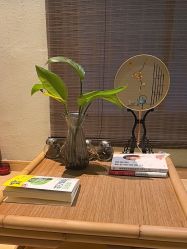 -香秀空间科技抗衰·美容中心