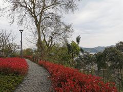 -东钱湖旅游度假区