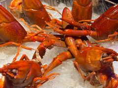 -红盔甲·小龙虾(定西路店)