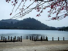-顺峰山公园