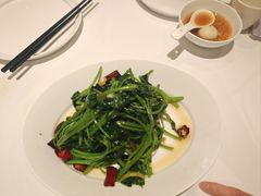 -眉州东坡(民族园店)