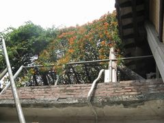 -小洲村