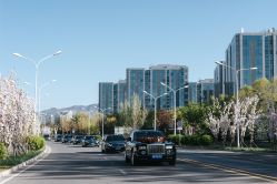 -Sunny喜铺婚礼策划(东部店)