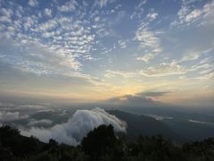 -梧桐山风景名胜区