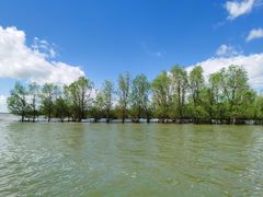 -东寨港红树林旅游区