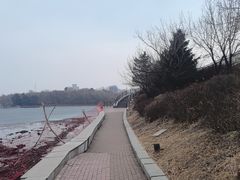 -南湖大桥