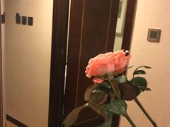 -成都天府丽都喜来登饭店