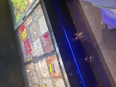 -龙宴海鲜城(经中路店)