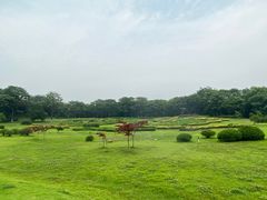 -宜兴龙背山森林公园