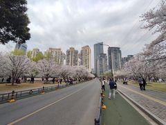 -西北湖绿化广场