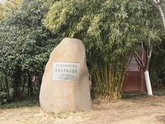 -楚望台遗址公园