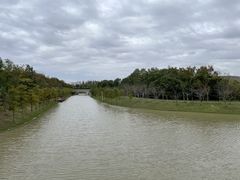 -上海海湾国家森林公园