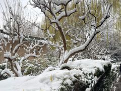 -环城公园