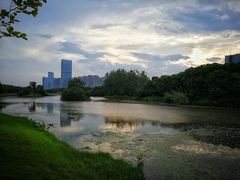 -艾溪湖湿地公园