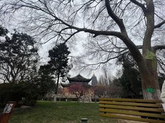 -红梅公园