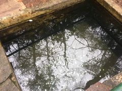 -溪口-滕头旅游景区