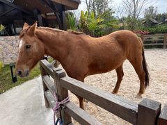 -珠海海泉湾神秘岛亲子乐园