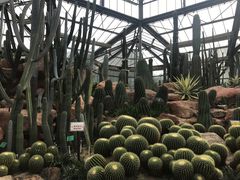 -华南国家植物园-售票处