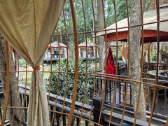 -二荆条·蜀鲜汇城市森林火锅