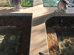-中家鑫园温泉酒店鑫悦汤泉