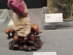 -国家自然博物馆