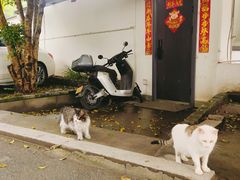 -马灯部落·西湖边的创意山景餐厅(虎跑动物园店)