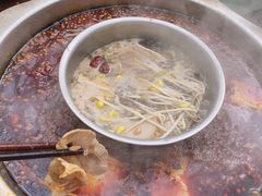 -巴倒烫陆派火锅山庄(南山总店)