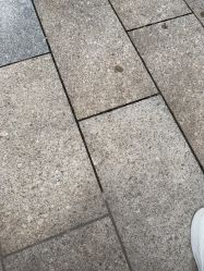 -YESIDO椰岛造型