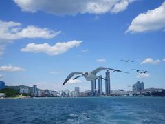 -海云台海滩
