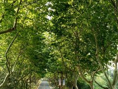 -上海第二工业大学(金海路校区)
