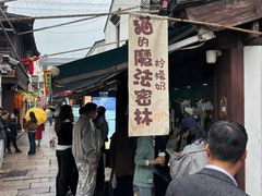 -猫的魔法密林(衣裳街店)