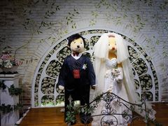 -济州岛泰迪熊博物馆