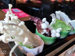 -九鼎轩脆毛肚火锅(三钢里店)