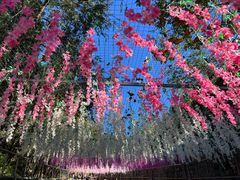 -北京十三陵国家森林公园蟒山景区