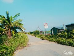 android_upload_pic-海鸥岛