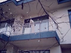 iphone_upload_pic-稻香湖景酒店