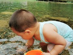 -白河湾生态旅游一条川