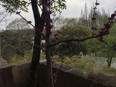 -东坡赤壁风景名胜区